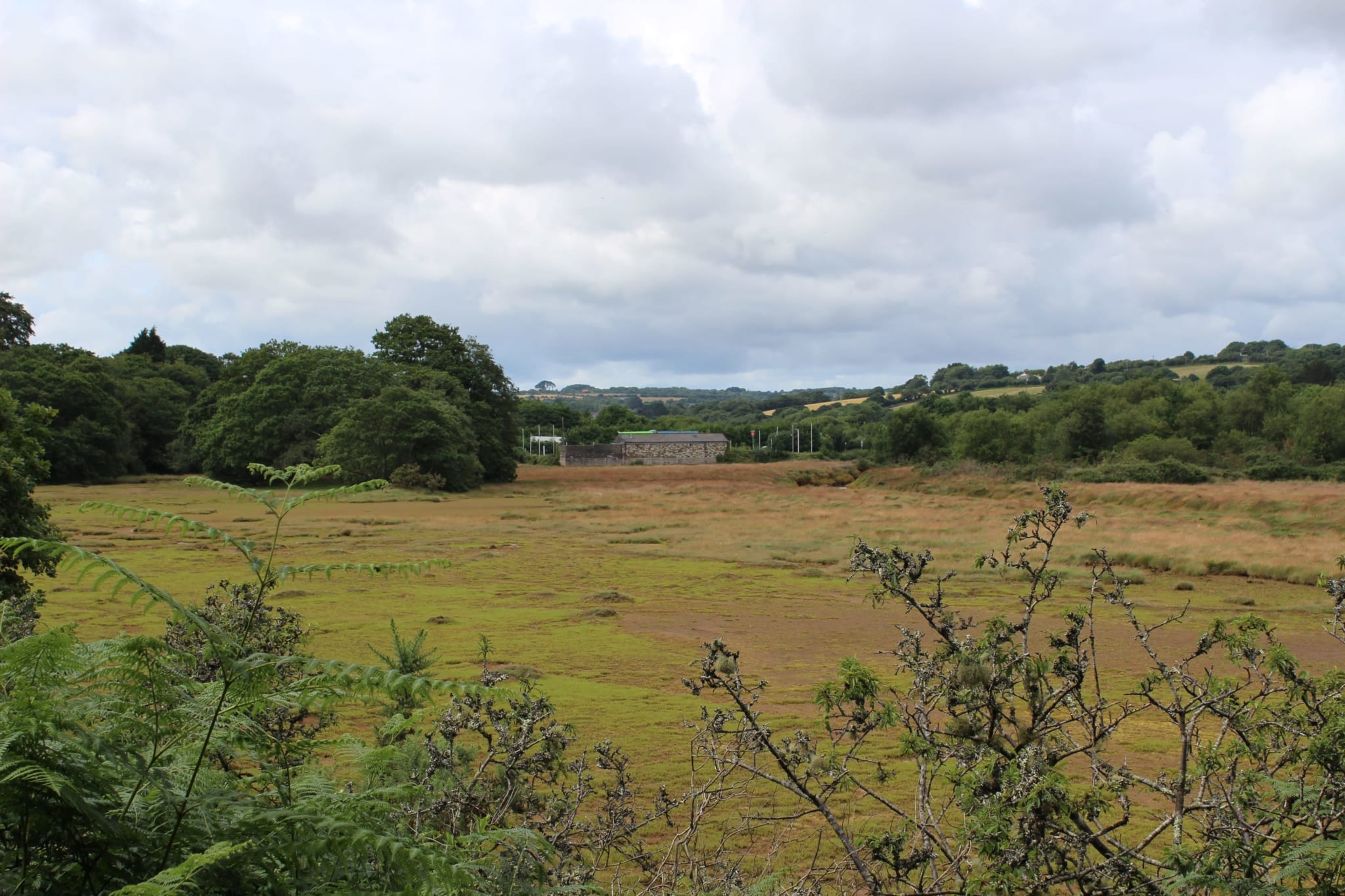 Plot of green land in Devoran by the creek